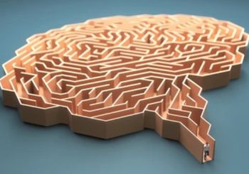 [WISC-V    (Wechsler Scale Intelligence Children)] de 6 ans à 17 ans